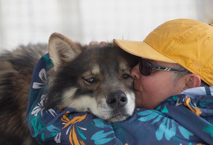Explorando la Terapia con Lobos en el Espacioso Campo del Centro Canino Munay Ki Wolf, al Sur de Lima